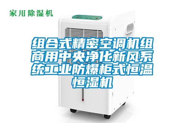 組合式精密空調機組商用中央凈化新風系統工業防爆柜式恒溫恒濕機
