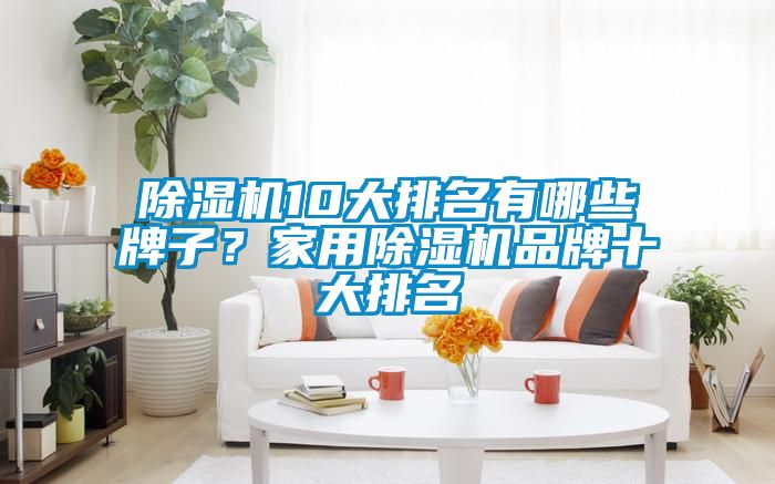 除濕機10大排名有哪些牌子？家用除濕機品牌十大排名