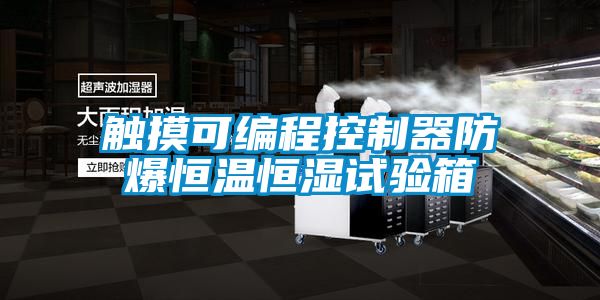 觸摸可編程控制器防爆恒溫恒濕試驗箱