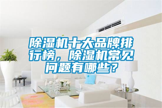 除濕機十大品牌排行榜，除濕機常見問題有哪些？