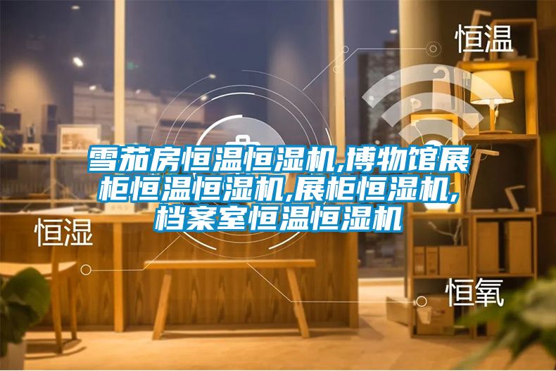 雪茄房恒溫恒濕機(jī),博物館展柜恒溫恒濕機(jī),展柜恒濕機(jī),檔案室恒溫恒濕機(jī)