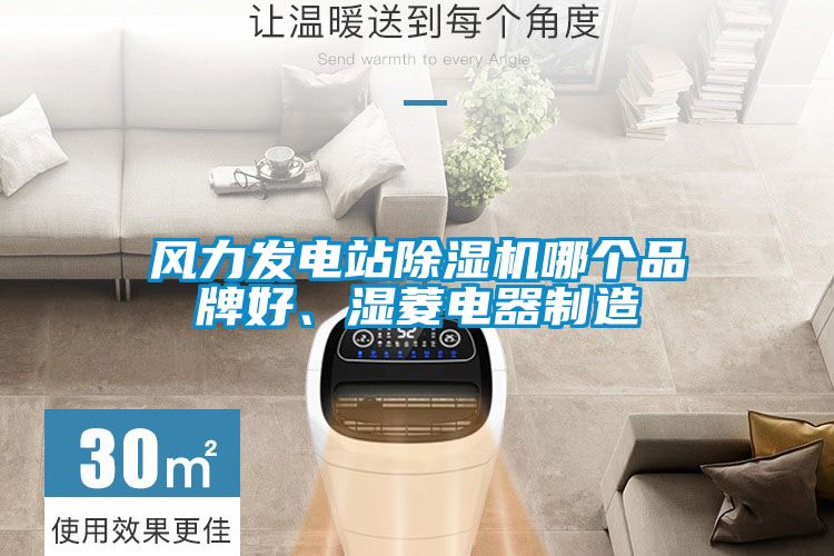 風(fēng)力發(fā)電站除濕機(jī)哪個(gè)品牌好、濕菱電器制造