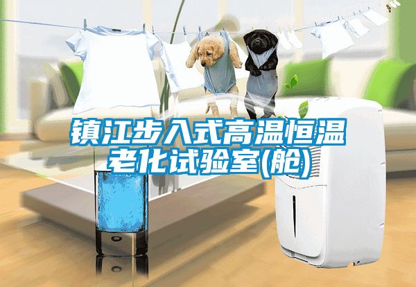 鎮江步入式高溫恒溫老化試驗室(艙)