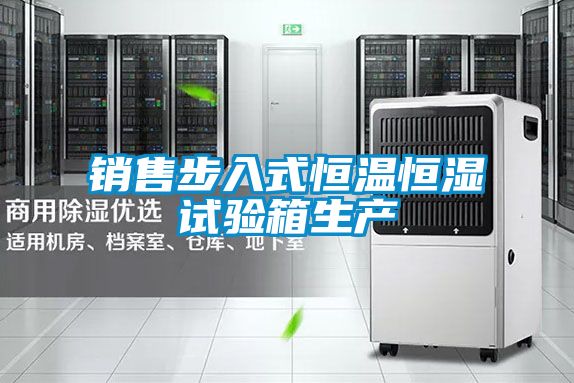 銷售步入式恒溫恒濕試驗箱生產