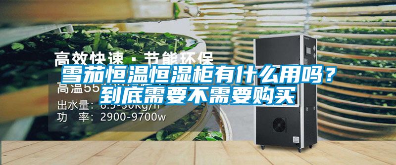 雪茄恒溫恒濕柜有什么用嗎？到底需要不需要購(gòu)買