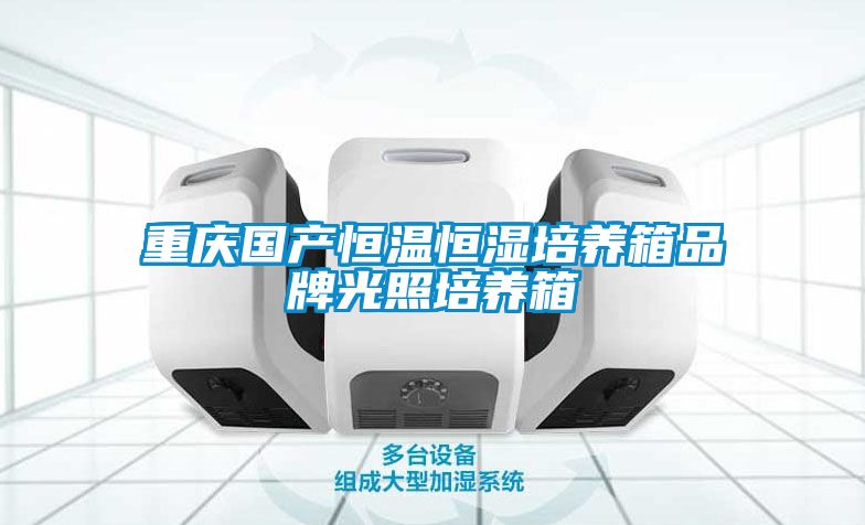 重慶國(guó)產(chǎn)恒溫恒濕培養(yǎng)箱品牌光照培養(yǎng)箱