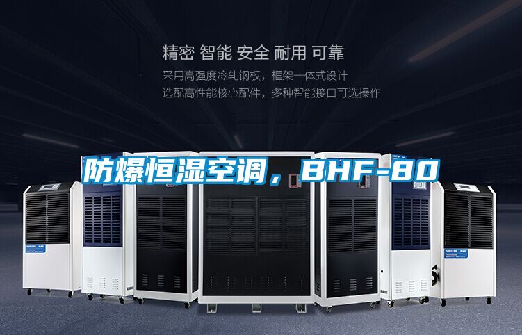 防爆恒濕空調(diào)，BHF-80