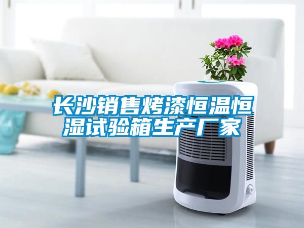 長(zhǎng)沙銷(xiāo)售烤漆恒溫恒濕試驗(yàn)箱生產(chǎn)廠家